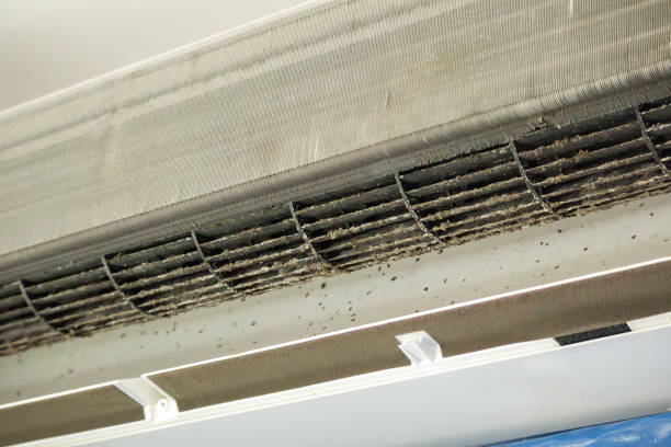 Best Affordable Duct Cleaning Services  in San Rafael, CA
